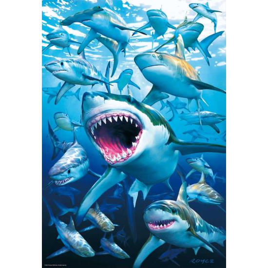 Puzzle Educa Requins 500 pièces