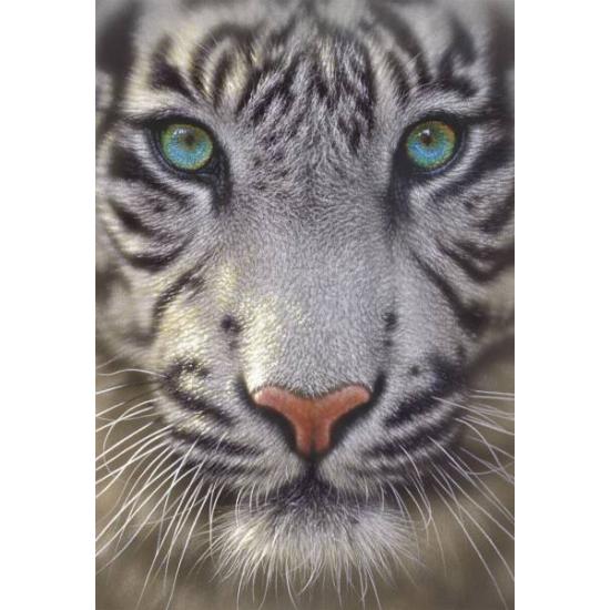 Puzzle Educa Tigre Blanc 500 pièces