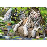 Puzzle Educa Tigres blancs du Bengale 1000 pièces