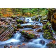 Puzzle Enjoy Forest Stream en automne 1000 pièces