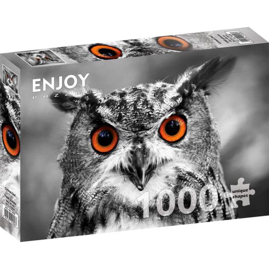 Puzzle Enjoy Curious Owl 1000 pièces Puzzle Enjoy Curious Owl 1000 pièces