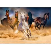 Puzzle Enjoy des chevaux qui courent dans le désert 1000 pièc