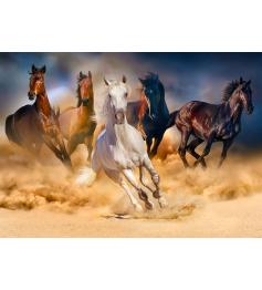 Puzzle Enjoy des chevaux qui courent dans le désert 1000 pièc