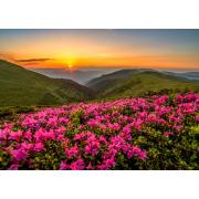 Puzzle Enjoy Crépuscule Rose de 1000 pièces