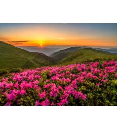 Puzzle Enjoy Crépuscule Rose de 1000 pièces