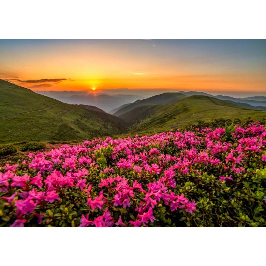 Puzzle Enjoy Crépuscule Rose de 1000 pièces