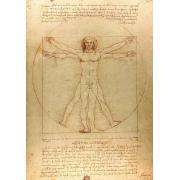 Puzzle Enjoy The Vitruvian Man 1000 pièces