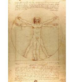 Puzzle Enjoy The Vitruvian Man 1000 pièces
