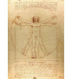 Puzzle Enjoy The Vitruvian Man 1000 pièces