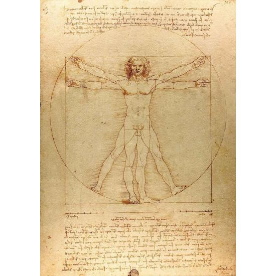 Puzzle Enjoy The Vitruvian Man 1000 pièces
