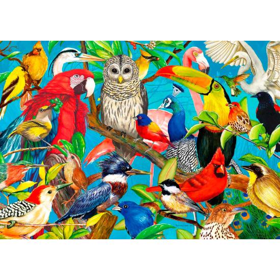 Puzzle Enjoy Frénésie à plumes de 1000 pièces