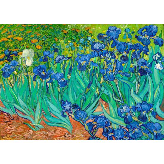 Puzzle Enjoy Iris 1000 pièces