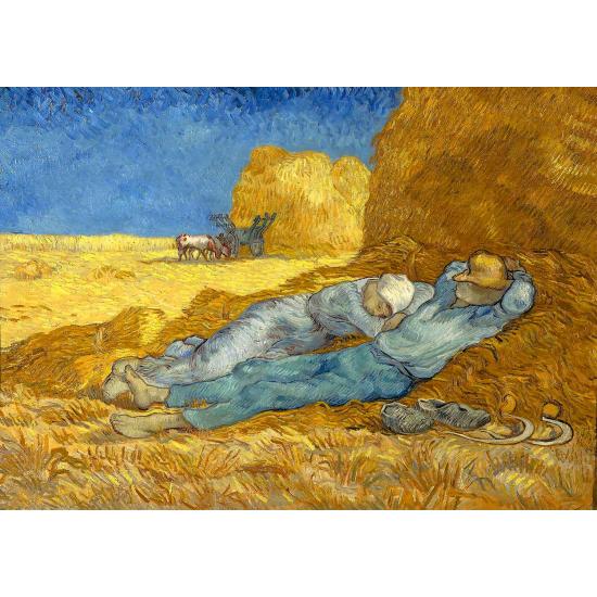 Puzzle Enjoy La Siesta 1000 pièces