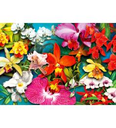 Puzzle Enjoy Jungle d'Orchidées de 1000 pièces