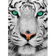 Puzzle Enjoy Siberian White Tiger 1000 pièces