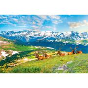 Puzzle Eurographics Wapiti des Montagnes de 1000 pièce