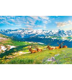 Puzzle Eurographics Wapiti des Montagnes de 1000 pièce