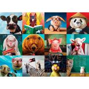 Eurographics Puzzle Animaux Amusants 1000 Pièces