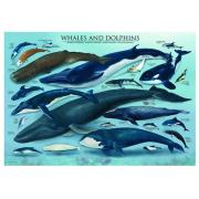 Puzzle Baleines et dauphins Eurographics 1000 pièces
