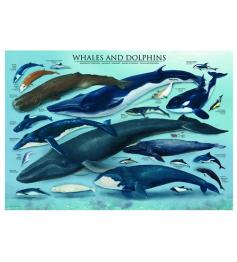 Puzzle Baleines et dauphins Eurographics 1000 pièces