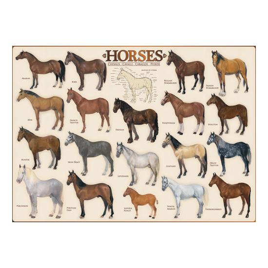 Eurographics Puzzle Chevaux 1000 pièces