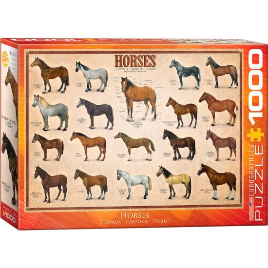Eurographics Puzzle Chevaux 1000 pièces