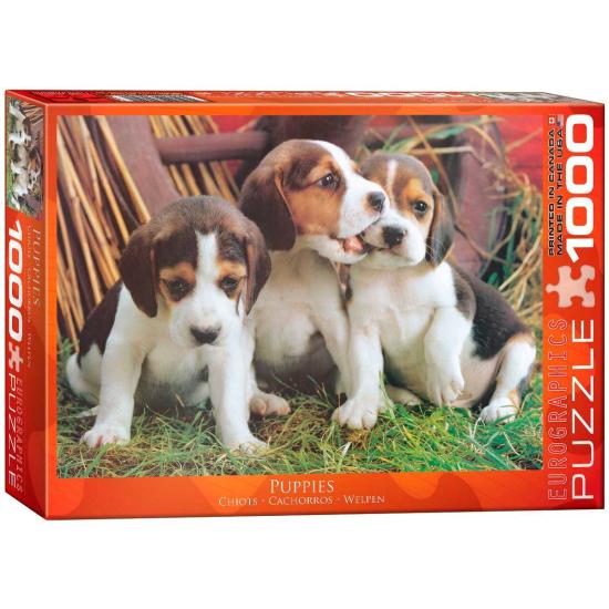 Eurographics Puzzle Chiots 1000 pièces
