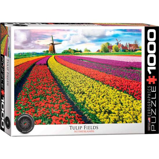 Eurographics Puzzle Champ de tulipes, Hollande 1000 pièces