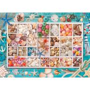 Eurographics Puzzle Coquillage Collection 1000 pièces