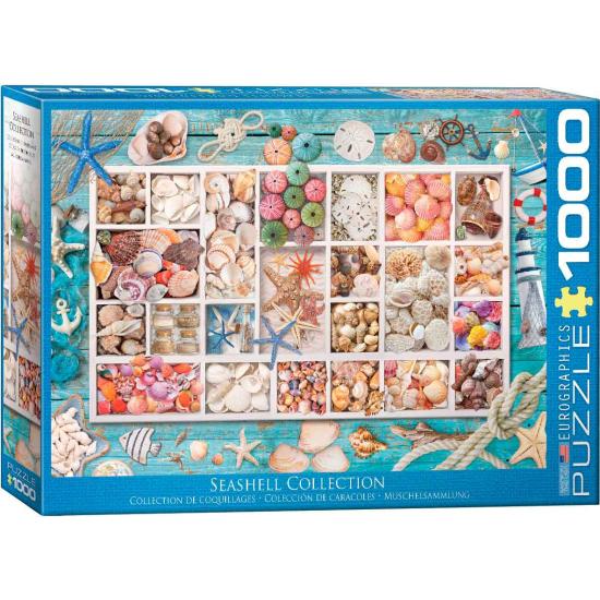 Eurographics Puzzle Coquillage Collection 1000 pièces