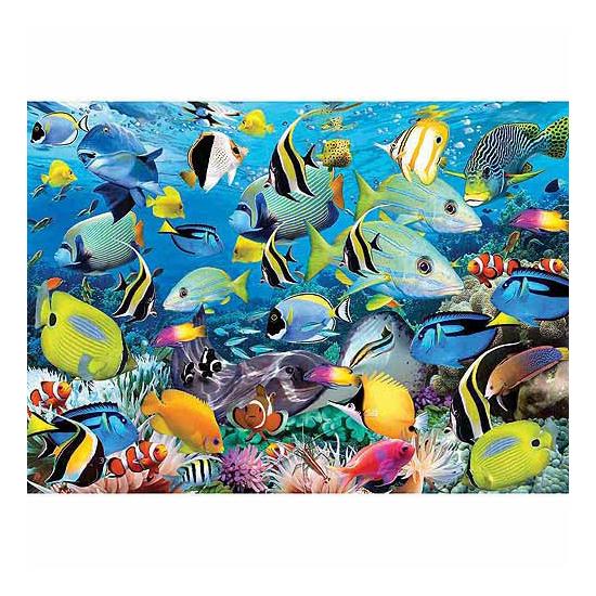 Eurographics Puzzle Les Couleurs de l'Océan 1000 pièces