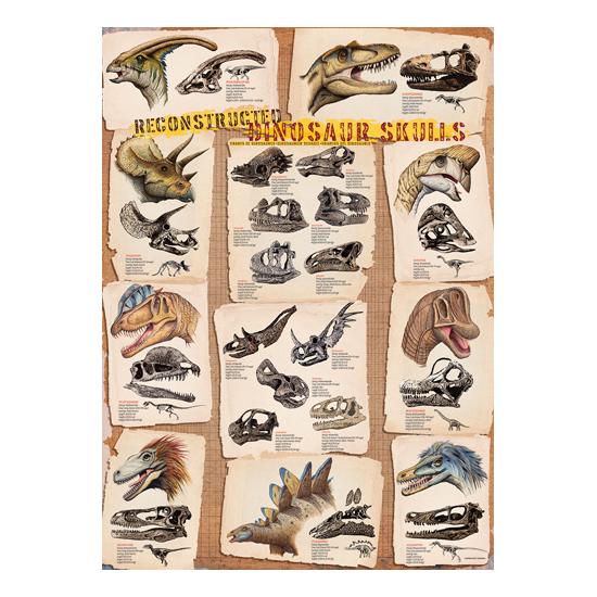 Eurographics Puzzle Crânes de dinosaures reconstruits de 100