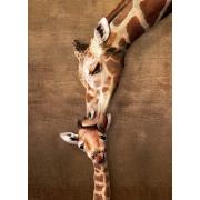 Eurographics Puzzle Mother's Kiss Girafe 1000 pièces