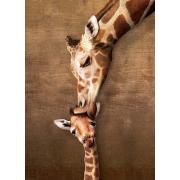 Eurographics Puzzle Mother's Kiss Girafe 1000 pièces Eurographics Puzzle Mother's Kiss Girafe 1000 pièces