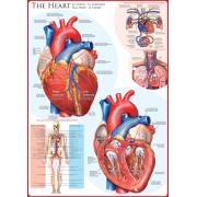 Eurographics Puzzle Le Coeur de 1000 pièces