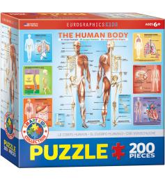 Puzzle Eurographics Le corps humain 200 pièces