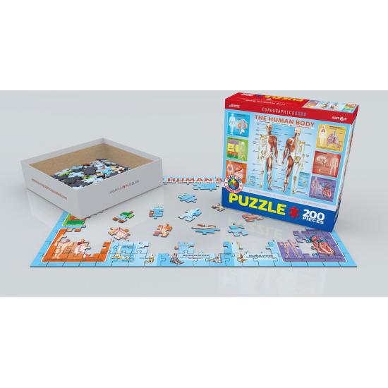 Puzzle Eurographics Le corps humain 200 pièces