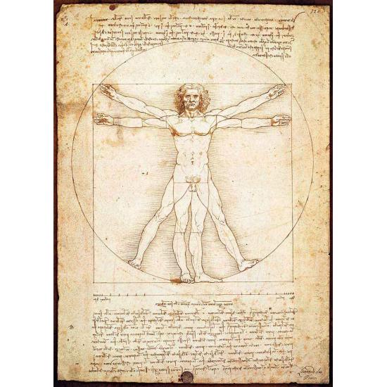 Eurographics Puzzle L'Homme de Vitruve 1000 pièces