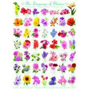 Puzzle Eurographics Le langage des fleurs 1000 pièces