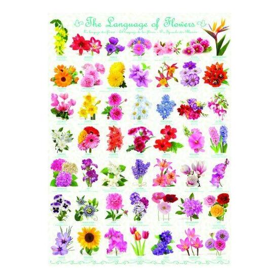 Puzzle Eurographics Le langage des fleurs 1000 pièces