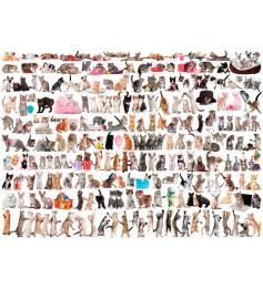 Eurographics Puzzle Le Monde des Chats 1000 pièces