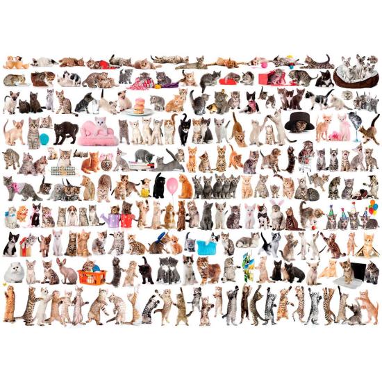 Eurographics Puzzle Le Monde des Chats 1000 pièces