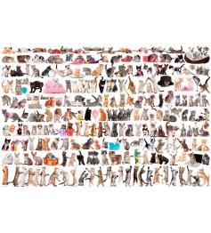 Eurographics Puzzle Le Monde des Chats 2000 pièces