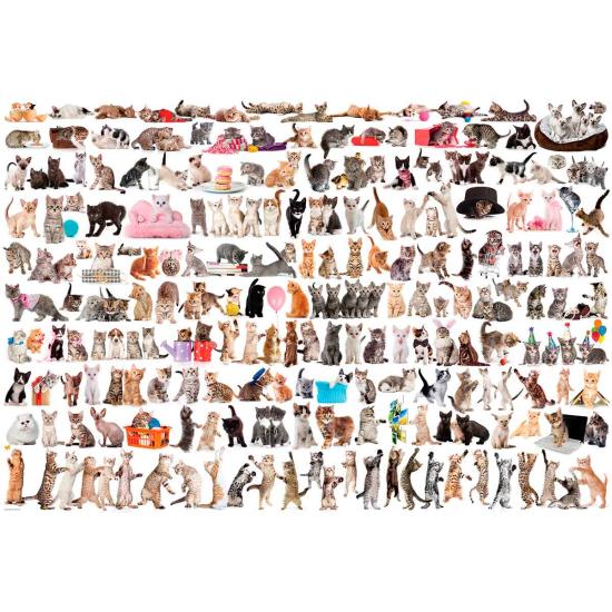 Eurographics Puzzle Le Monde des Chats 2000 pièces