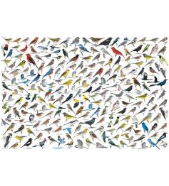 Eurographics Puzzle Le Monde des Oiseaux 2000 pièces