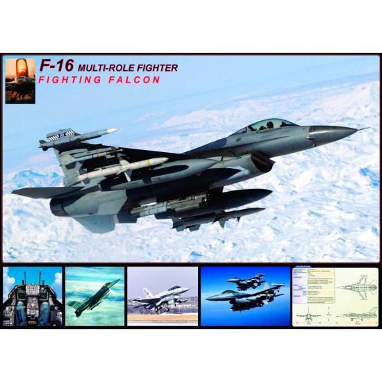 Eurographics Falcon F-16 Puzzle 1000 pièces