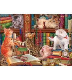 Puzzle Eurographics Chatons De La Bibliothèque 1000 pièces
