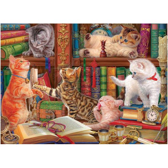 Puzzle Eurographics Chatons De La Bibliothèque 1000 pièces