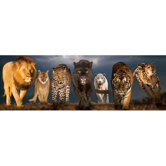 Puzzle Eurographics Big Cats 1000 pièces