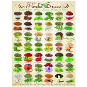 Eurographics Puzzle Herbes Aromatiques et Épices 1000 Pièces